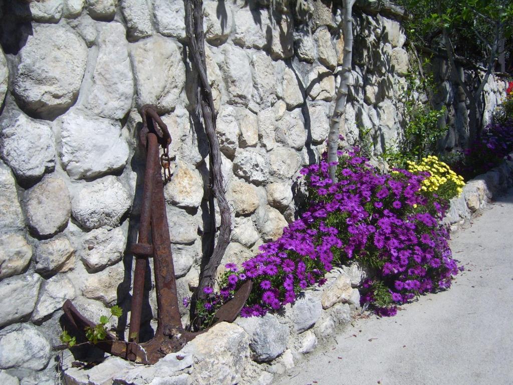 Apartments Villa More Makarska Buitenkant foto